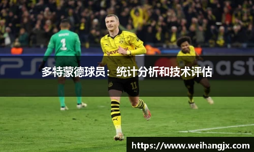 bsports登录入口